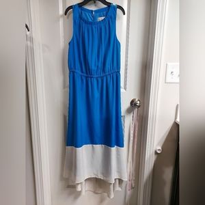 NWT Women's Loft dress